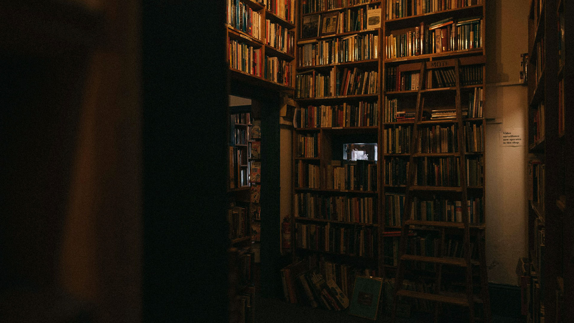 5 Lessons I’ve Learned as an Author